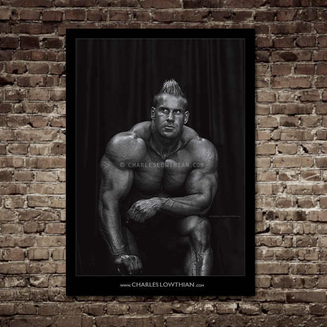 G-306 Jay Cutler IFBB Bodybuilder Fitness Fabric Poster 12x18 24x36 27x40 